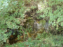 Le Ruisseau de Presles, en période de basses eaux